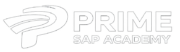 primesapacademy